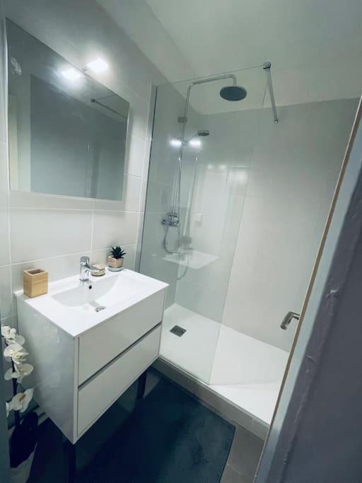 Appartement En Centre Ville, Wifi Et Tram Montpellier Exterior foto